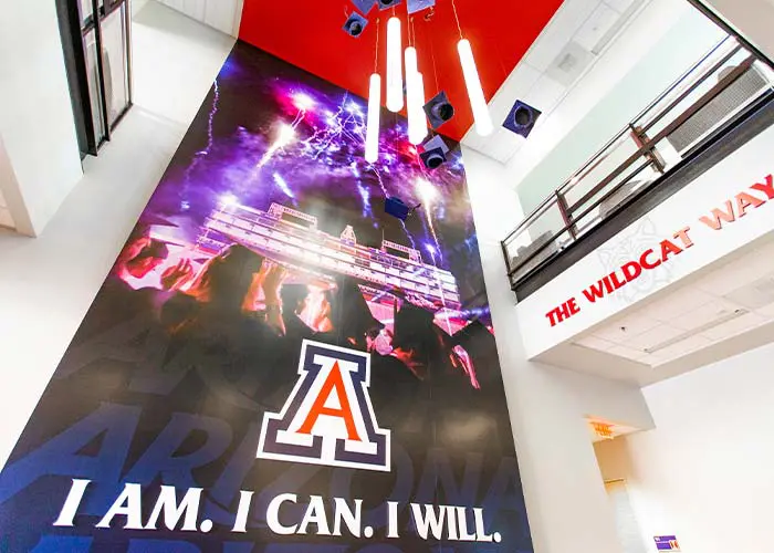 Arizona Banner